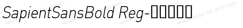 SapientSansBold Reg字体转换